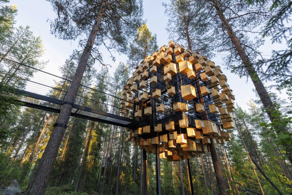 Una noche entre las copas de los árboles: el hotel de Suecia donde las habitaciones quedan suspendidas en el bosque 10 treee